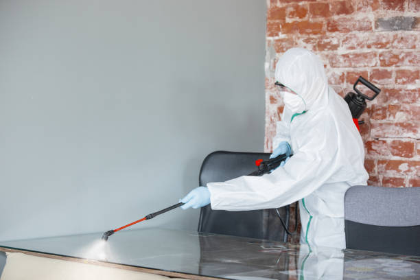 Mold Removal